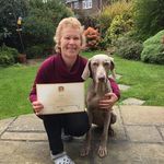 Caroline Franks - @caroline.franks.733 - Instagram
