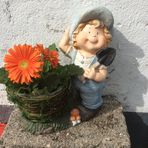 Caroline Fraser - Facebook