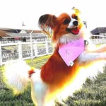 Caroline Fraser - @caroline.fraser.7739814 - Instagram