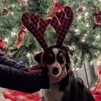 Carrie Frerichs Maconi - Facebook