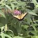 Carrie Freund - Facebook
