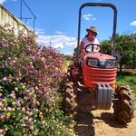 Caroline Fuller - @carolinamoongarden - Instagram