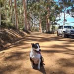 Caroline Fullerton - @fullerton6777 - Instagram