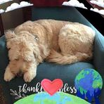 Carolyn Fuqua - Facebook