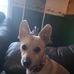 Caroline Gale - Facebook