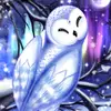 carolinegale852 - @carolinegale852 - TikTok