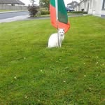 Caroline Gallagher - @caroline.gallagher.777 - Instagram
