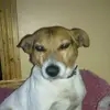 Caroline Gallagher - @carolinegallaghe3 - TikTok