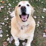 Caroline Galloway - @thevintagesanctuary - Instagram