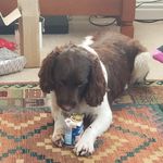 Caroline Gardiner - @gardiner7386 - Instagram
