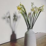 Caroline Gillett - @carolinegillettpottery - Instagram