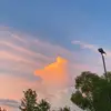 Caroline Glover:) - @caroline.glover1 - TikTok