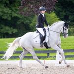 Caroline Goodman-Thomases - @cgoodmanthomases - Instagram