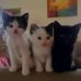 Caroline Granger - Facebook