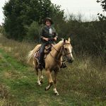 Caroline Guy Sylvestre - @carolinesylvestre - Instagram