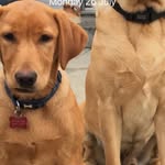 Caroline Henn - @cazcat1965 - Instagram