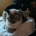 Caroline Henn - Facebook