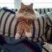 Carolyn Herron - Facebook