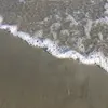 caroline.hoffier - @caroline.hoffier - TikTok