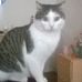 Caroline Hulin - Facebook