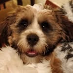 Caroline Burnett-Hurst - @carolineburnetthurst - Instagram