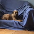 Caroline Hurst - Facebook