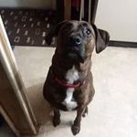 Caroline Hurst - @caroline.hurst.14203 - Instagram