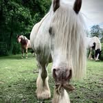 Caroline Jeffrey - @carolinejeffreyphotography_ - Instagram