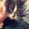 Caroline Kopp - @carolinekopp6 - TikTok