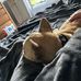 Caroline Lajoie - Facebook
