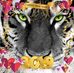 Caroline Lancey - Facebook