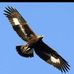 Caroline Lunce - Facebook