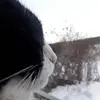 carolinelance187 - @carolinelance187 - TikTok