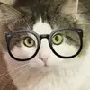 carolinelance342 - @carolinelance342 - TikTok