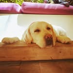 Caroline Lange - @caroline.education - Instagram