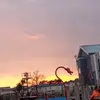 carolinelarkin30 - @carolinelarkin30 - TikTok