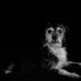 Carolyn Lashbrook - Facebook