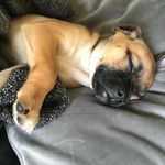 Caroline Leach - @caza1960 - Instagram