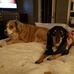 Carolyn Leach - Facebook