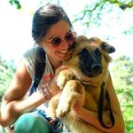 Caroline & Django the Tervuren - @carolineleary - Instagram