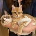 Caroline Leung - Facebook