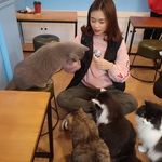 Caroline Leung - @caroline_0519 - Instagram