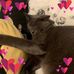 Caroline Levin - Facebook