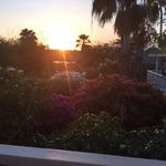 Caroline Levinson - @caroline_levinson - Instagram