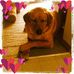 Caroline Lowry - Facebook