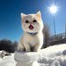 Caroline Lu - Facebook