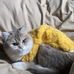 Caroline Lu - Facebook