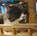 Caroline Lu - Facebook