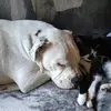 Carolyn Maslin - @carolyn.maslin - TikTok