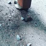 Carolyn Mayes - @carolynmayes2022 - Instagram